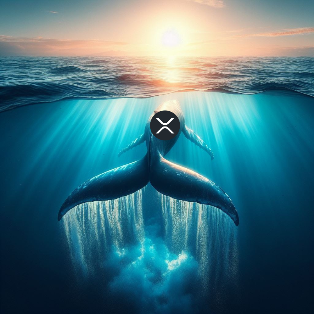 Cá voi XRP