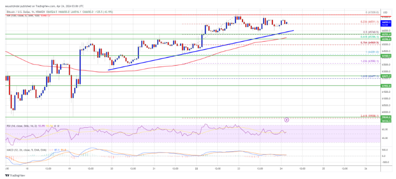 COIN4VN tin tức bitcoin - tin tức tiền ảo - tiền điện tử https://coin4vn.com/wp-content/uploads/2024/04/Thiet-ke-chua-co-ten-7-5.png
