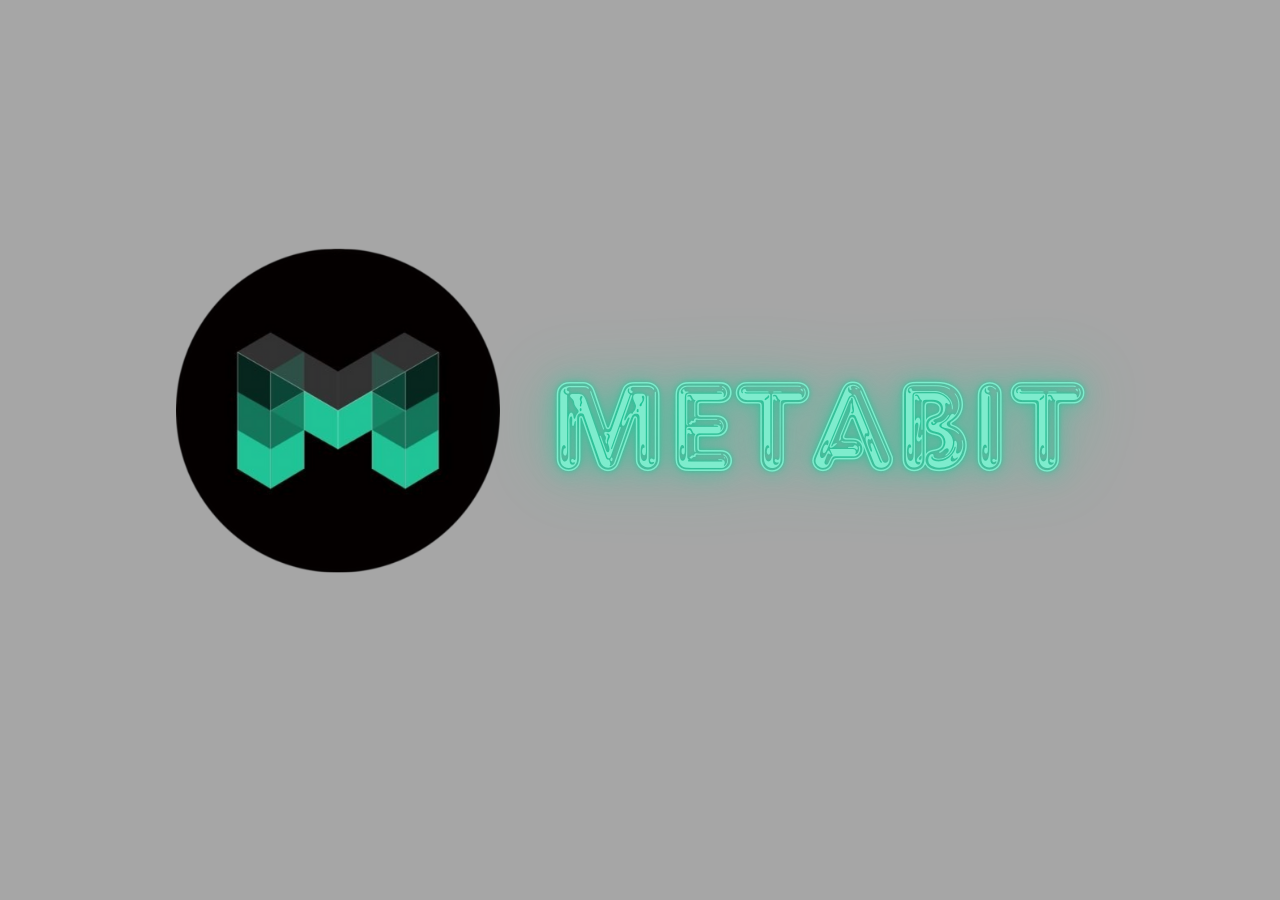 Metabit