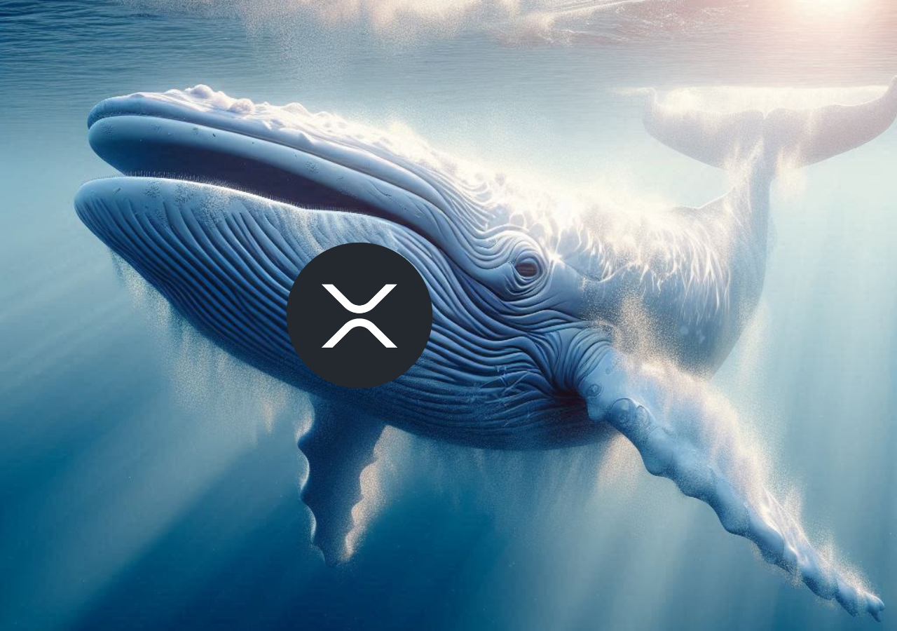 Cá voi XRP