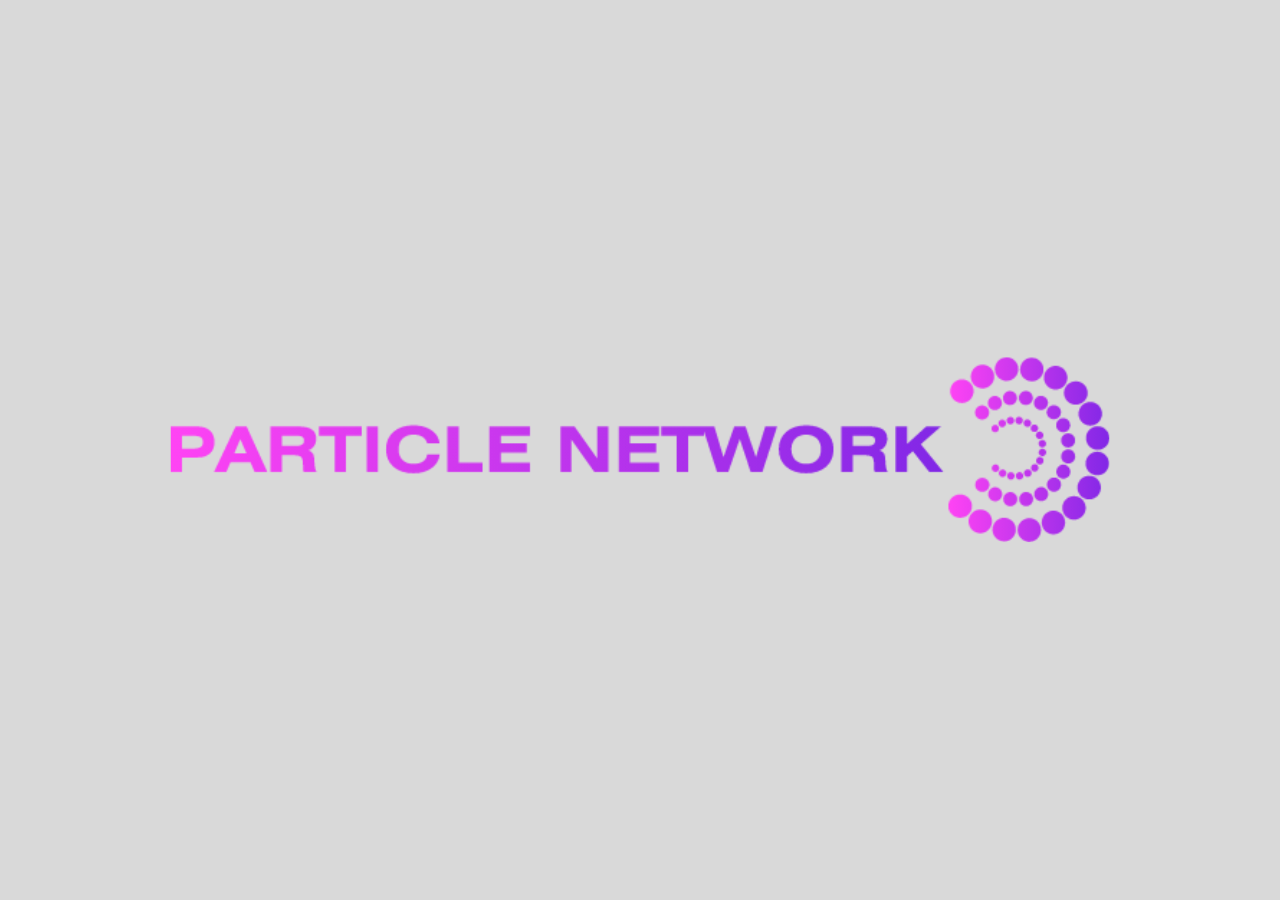 Particle Network