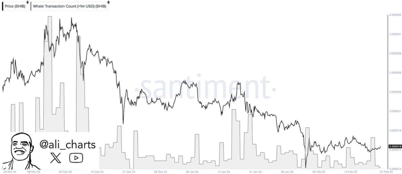 COIN4VN tin tức bitcoin - tin tức tiền ảo - tiền điện tử https://coin4vn.com/wp-content/uploads/2025/02/ca-voi-SHIB.jpg