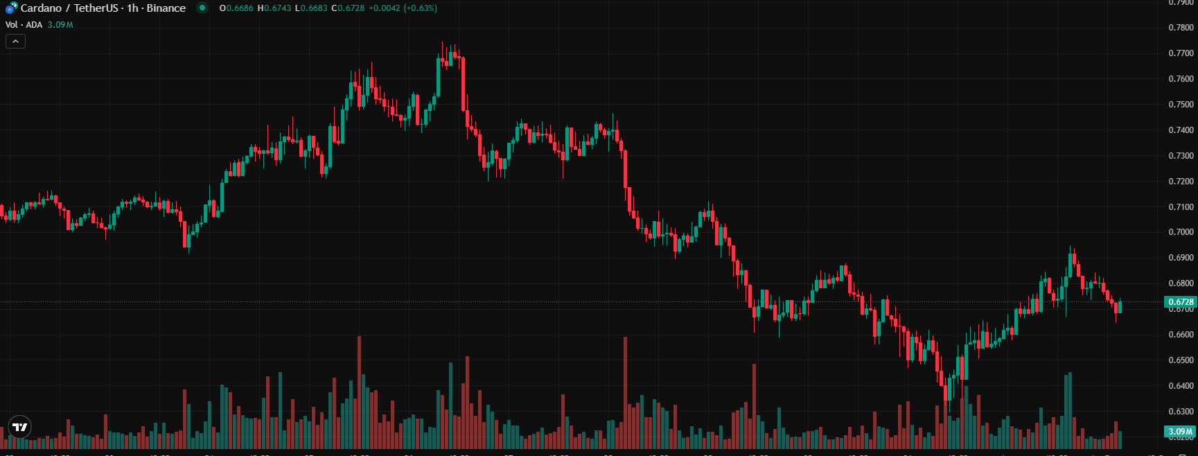 COIN4VN tin tức bitcoin - tin tức tiền ảo - tiền điện tử https://coin4vn.com/wp-content/uploads/2025/04/8-loai-tien-dien-tu.png